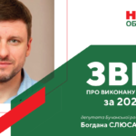 Звіт про виконану роботу за 2022 рік Богдана Слюсаренко