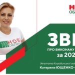 Звіт про виконану роботу за 2022 рік Катерини Ющенко-Корбут